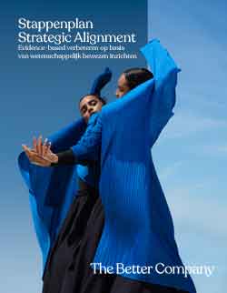 Stappenplan strategic alignment